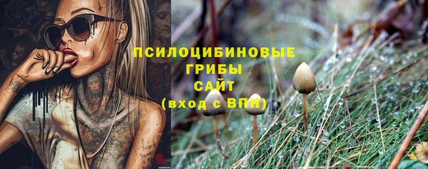 гидра Балахна